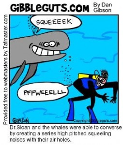 Whale Cartoon