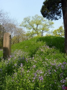 Confucius' Tomb