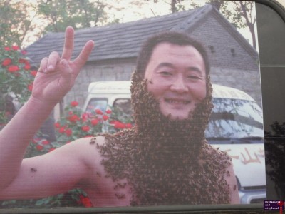 Bee Beard